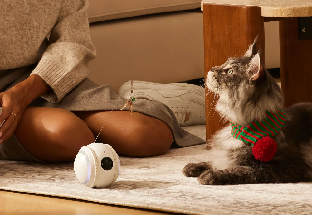 best security camera for pets