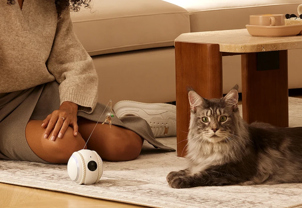 best in home cameras for pets