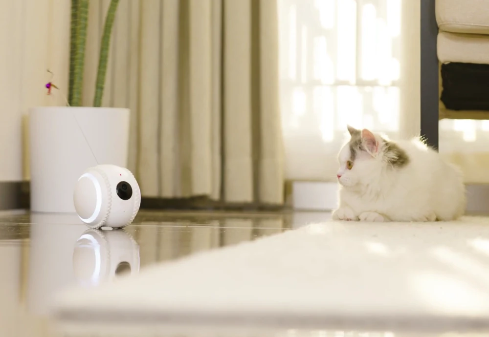 best home security camera for pets