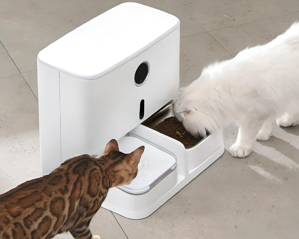 automatic food feeder for dogs