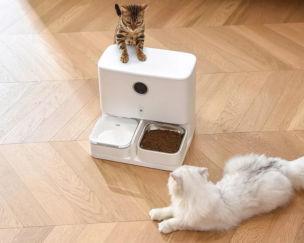 best cat feeder with camera